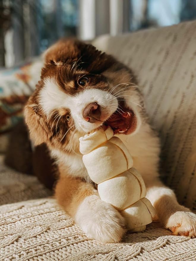 Redbarn Pet Products All-Natural Large Beef Cheek Rolls for Dogs, Uncoated - Single Ingredient Grain-Free Chew Treat Naturally Rich in Collagen - No Artificial Preservatives - Pack of 4-Mewly Pet