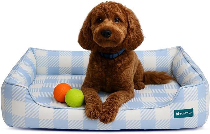 Orthopedic Bolster Dog Bed – CertiPUR-US Foam, Recycled Polyester Canvas, Washable Cover, Anti-Slip Bottom, Small, Light Blue Check – Stylish Designer Dog Sofa-Mewly Pet