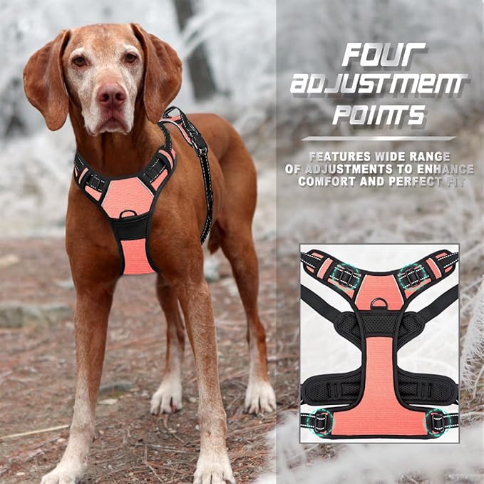 BARKBAY No Pull Dog Harness Front Clip Heavy Duty Reflective Easy Control Handle for Large Dog Walking(Light Pink,S)-Mewly Pet
