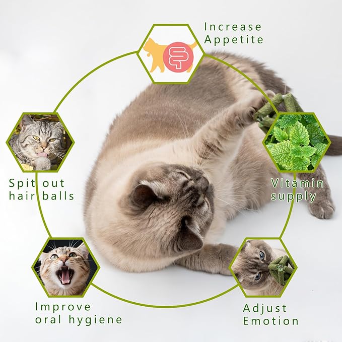 Cat Catnip Toys,2Pcs Catnip Ball for Cats,Toys for Indoor Cats,Cat Chew Exercise Toy for All Breeds and Species,Enhances Oral and Dental Health-Mewly Pet