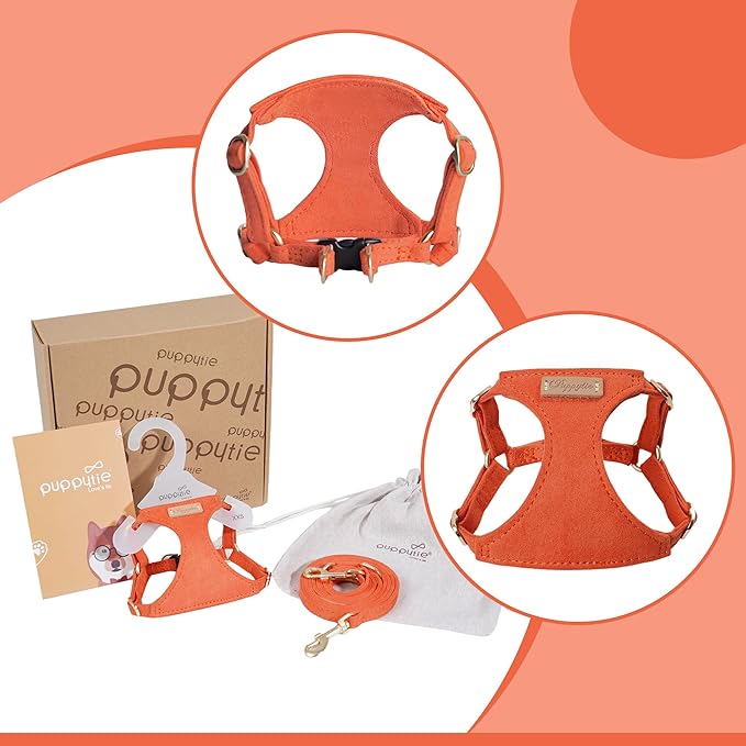 Puppytie No Pull Dog Harness with Multifunction Dog Leash,Soft Adjustable No Choke Escape Proof Pet Harness Vest for Medium Dogs or Large Dogs,Orange,M-Mewly Pet