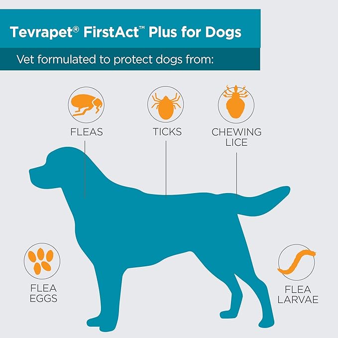 FirstAct Plus Flea Treatment for Dogs, Large Dogs 45-88 lbs, 6 Doses, Same Active Ingredients as Frontline Plus Flea and Tick Prevention for Dogs-Mewly Pet
