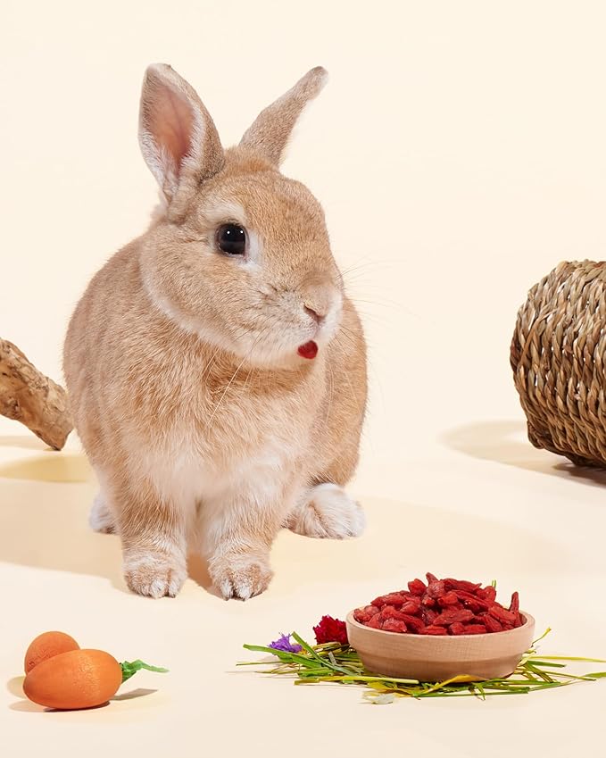 Niteangel Goji Berries Rabbits Snack Treats: 12pcs Natural Chew Toys for Bunny Chinchilla Guinea Pigs and Other Small Animals-Mewly Pet