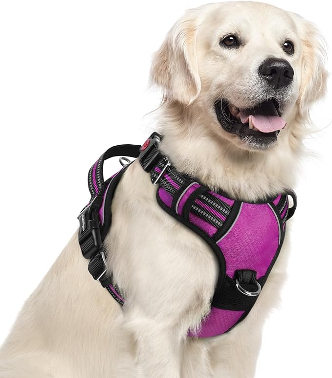 rabbitgoo Dog Harness for Large Dogs, No Pull Pet Vest with 3 Buckles, Adjustable Soft Padded Pet Harness with Easy Control Handle and Reflective Strips, Purple, XL-Mewly Pet