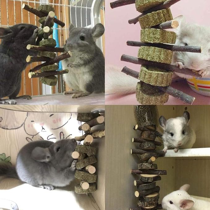 Bunny Chew Toys for Teeth, Organic Apple Wood Molar Sticks with Timothy Hay Circles for Bunny Chinchilla Guinea Pig Hamsters Holland Lop Prairie Dogs Squirrels Gerbils, Improves Dental Health-Mewly Pet