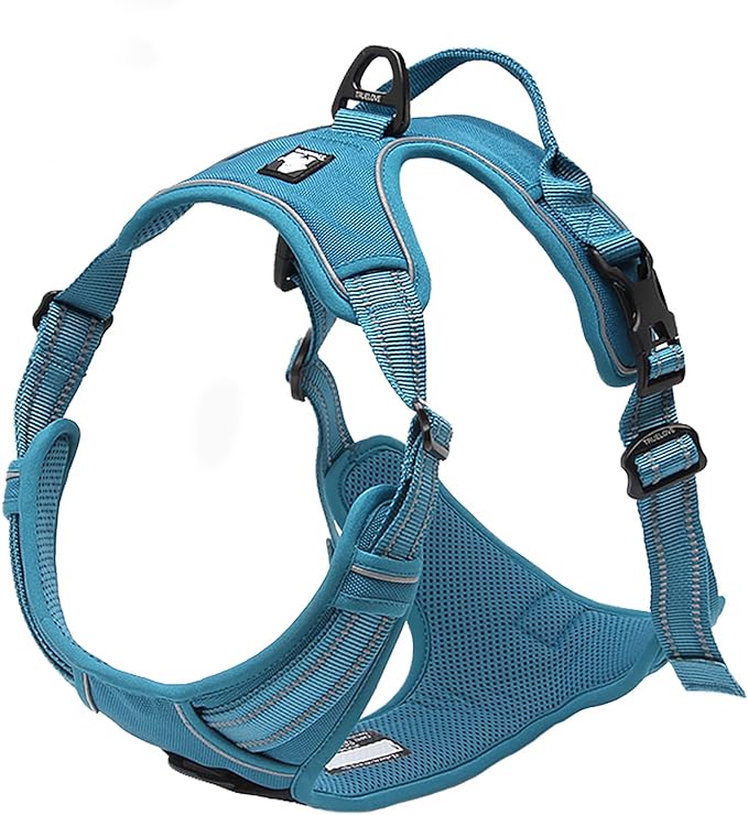 TRUE LOVE Truelove Adjustable No-Pull Dog Harness Reflective Pup Vest Harnesses Comfortable Control Brilliant Colors TLH5651(Blue,XS)-Mewly Pet