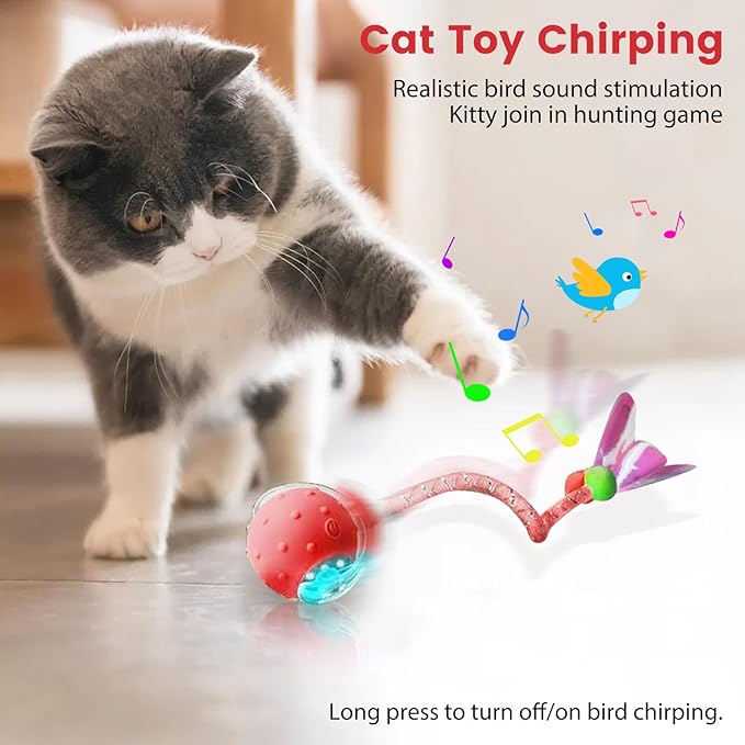 Interactive Cat Toys Ball for Indoor Cats Fast Rolling on Carpet，Colorful Plastic Spring Cat Toys 5Suit ，Automatic Kitten Toys for Bored Indoor Adult Cats，Motion Activated-Mewly Pet