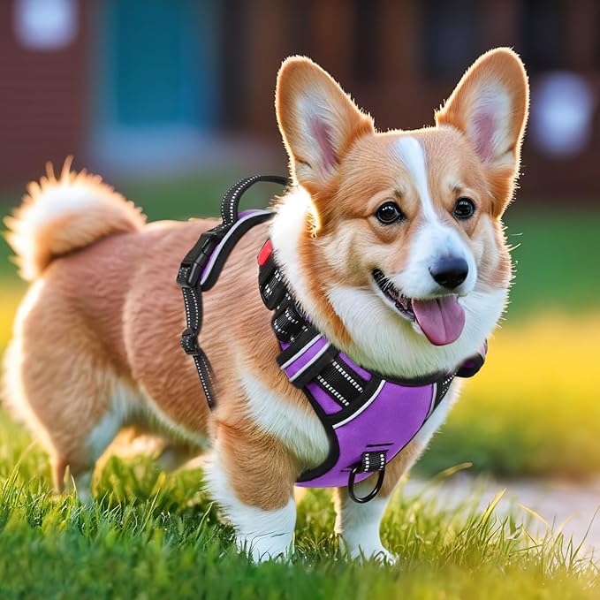 Timos Dog Harness Small Sized, No Pull with Neck Lockable Snap,No Choke Front Clip Dog Reflective Harness,Adjustable Metal Rings 3 Buckles,Easy Control Handle for Small Dogs Purple S-Mewly Pet