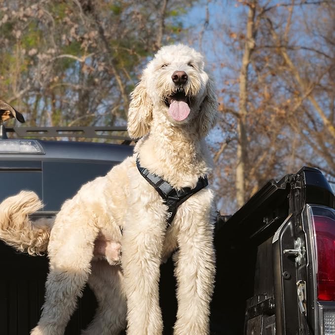 CLEPAWS Dog Harness for Medium Dogs, No Pull Dog Harness Easy Walk with Metal Hardware, Ergonomic Y-Shaped Design, Soft Padding, Padded Handle, Durable High-Tensile Nylon (Nightfall, M)-Mewly Pet