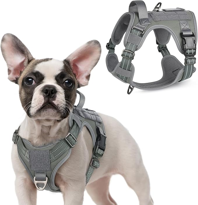 rabbitgoo Tactical Dog Harness for Small Dogs, No Pull Military Service Vest with Handle & Molle, Easy Control for Training Walking, Adjustable Reflective Straps, Dark Grey, S-Mewly Pet