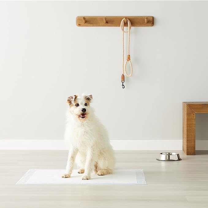 Amazon Basics Dog and Puppy Pee Pads with 5-Layer Leak-Proof Design and Quick-Dry Surface for Potty Training, Standard Absorbency, X-Large, 28 x 34 Inch - Pack of 60, Blue & White-Mewly Pet