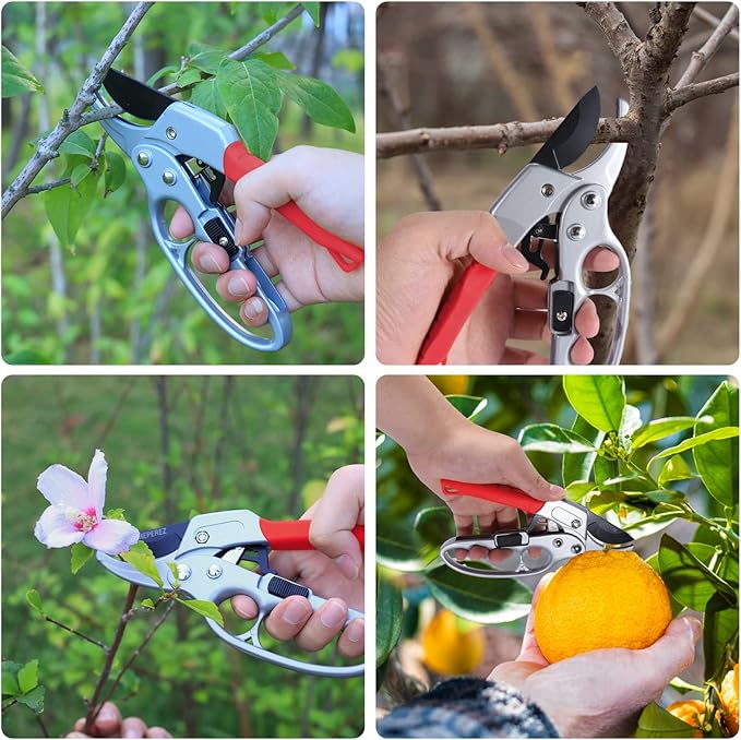 Ultra Sharp Germany Steel Pruning Shears - Cuts 3X Easier, Weak Hand Arthritis Snips, Rust-Resistant, Effortlessly 1-Inch Cut Capacity Garden Scissors, Ergonomic Handle (Red)-Mewly Pet