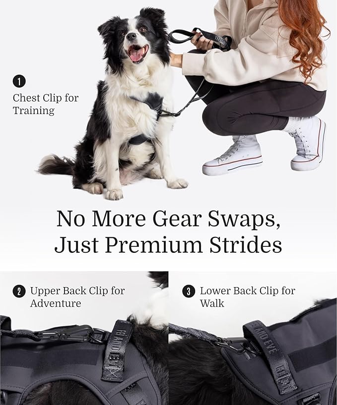2025 New Edition, Fei & Eve MagEase Dog Harness - 3-Second Magnetic Buckles | 3-Point No-Pull Control | Heavy-Duty 900D Nylon | Dual Safety Handles | Breathable Mesh | Adjustable Fit | X-Large,Black-Mewly Pet