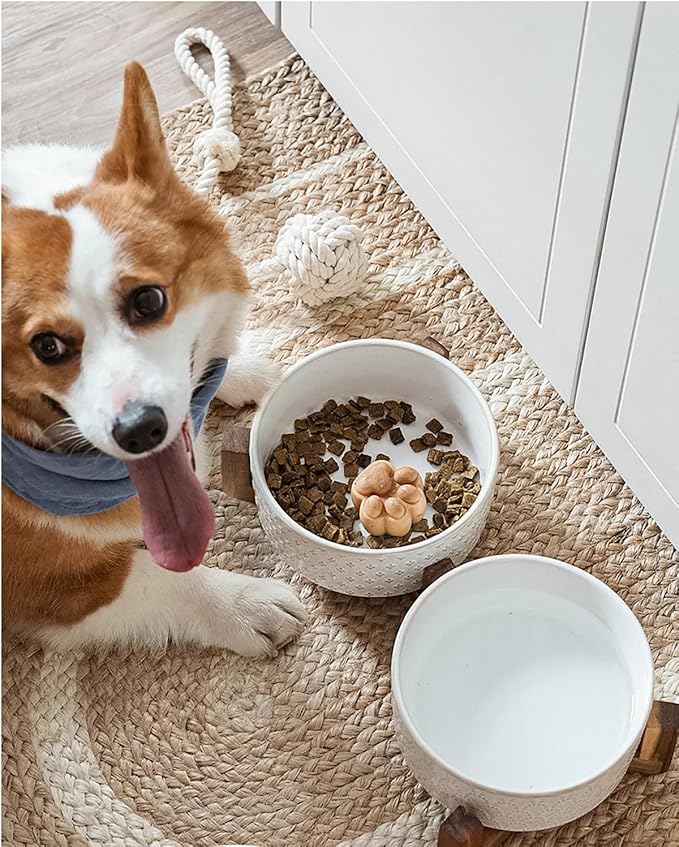 Dog Bowls Ceramic for Small Medium Dogs - 3-Cup Dual Food & Water Bowl Set with Acacia Wood Stand, Non-Slip Anti-Tip Elevated Design-Mewly Pet