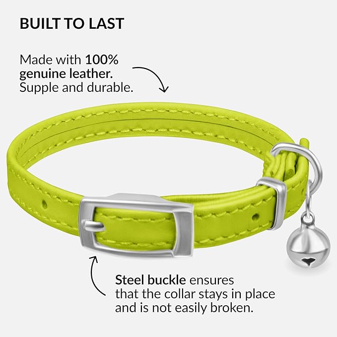 CollarDirect Leather Cat Collar with Bell - Kitten Collar, Small and Big Cat Collar for Boy Cats, Girl Cats with Safety Elastic Strap (Neck Fit 6"-7", Lime Green)-Mewly Pet