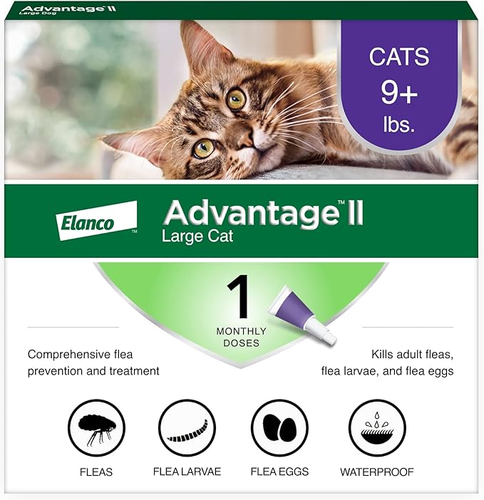 Advantage II Large Cat Vet-Recommended Flea Treatment & Prevention | Cats Over 9 lbs. | 1-Month Supply-Mewly Pet
