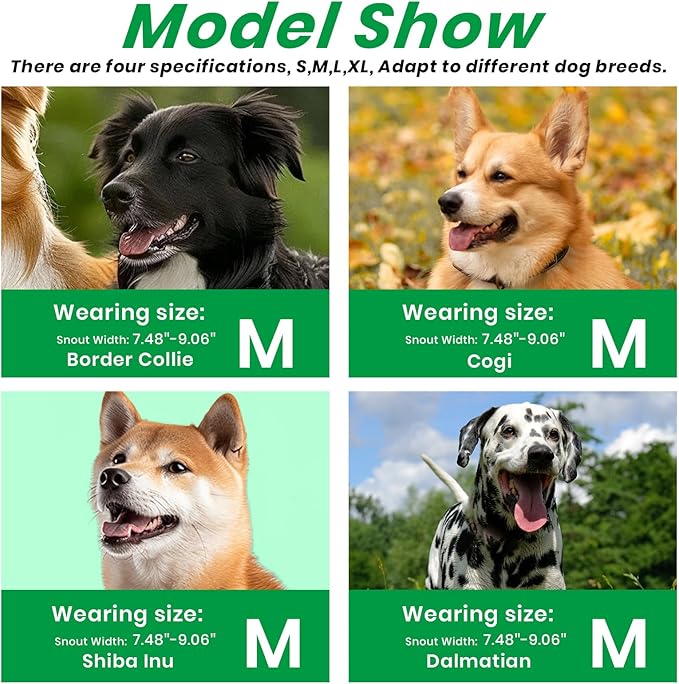 Dog Muzzle, Basket Muzzle for Small Medium Large Dogs, Anti-Biting and Chewing, Lightweight & Sturdy Cage Design, Allows Panting & Drinking, Ideal for Grooming & Training(Green Size M)-Mewly Pet