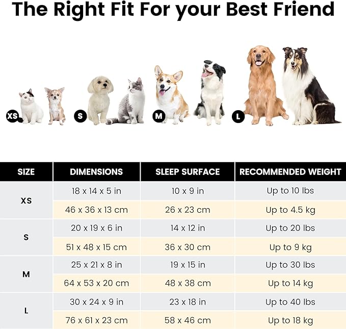 Miguel Washable Dog Bed with Removable Cushion for Medium Small Dogs, Easy to Wash Pet Sofa Bed with Side, Rectangle Bolster Cat Bed Calming Cuddle Puppy Bed with Anti-Slip Bottom, Brown 25 Inch-Mewly Pet