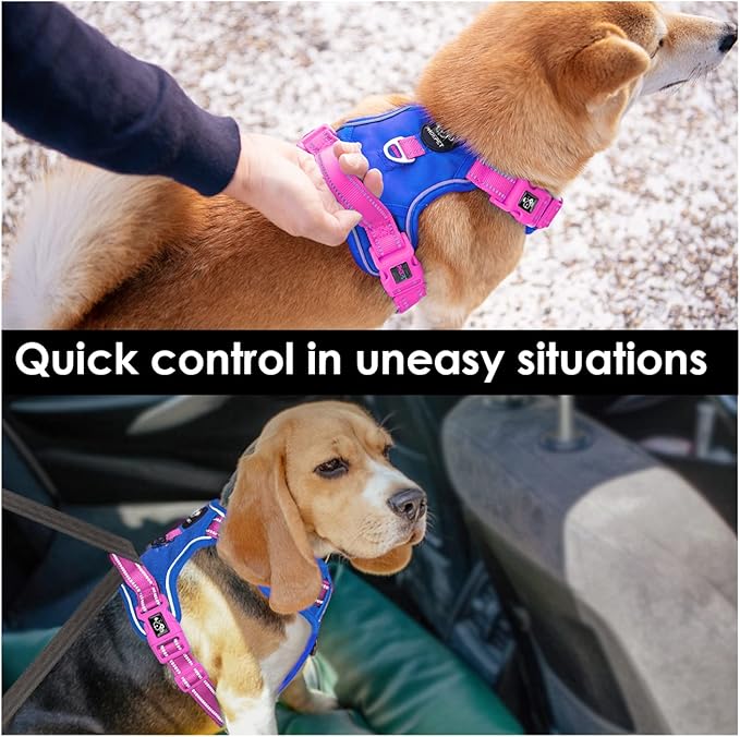 PHOEPET No Pull Dog Harness, Unique Colors Reflective Adjustable Dog Vest, with Soft Training Handle Metal Clips for Small Medium Large Dogs (Royal Blue Base & Pink Straps,M)-Mewly Pet