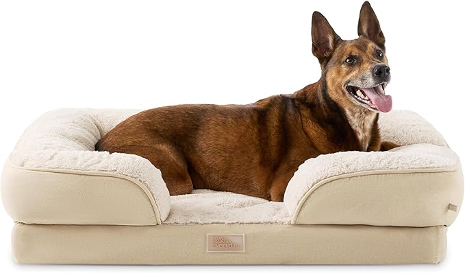 TOWN & COUNTRY EVERYDAY CuddleTown Comfy Solid Bolster Sofa Pet Bed, Supportive & Calming Egg Crate Foam, Non-Slip Bottom, Machine Washable Cover, Beige, Large 35"x25"x8"-Mewly Pet