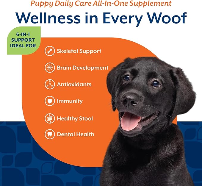 NaturVet All-In-One Puppy Daily Care, 6-In-1 Support Dog Soft Chews to Help Bones, Joints, Digestion, Teeth, Cognition, and More, Hickory Smoked Bacon Flavored Pet Supplement for Puppies, 60 Count Jar-Mewly Pet