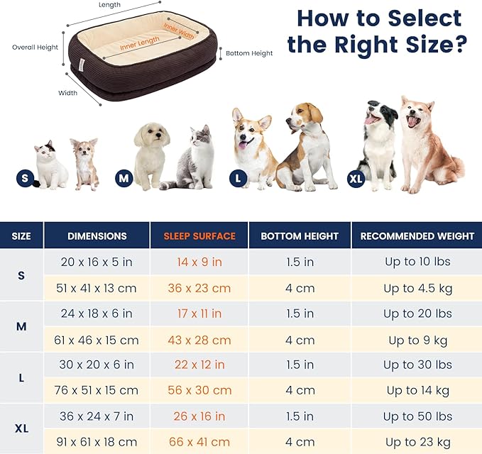 Orthopedic Dog Bed for Medium Size Dog Washable Cover, Egg Crate Foam Cat Bed for Senior Cat,Oval Kennel Bed, Pet Couch Bed with Four Sided Bolster, Removable Washable Cover Non-Slip Bottom, Brown-Mewly Pet