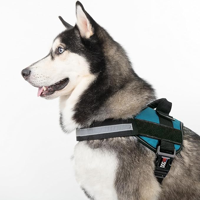 Dogline Dog Harness, Reflective No-Pull Adjustable Vest with Handle for Walking, Training, Breathable, No - Choke Harness for Small, Medium or Large Dogs Room for Patches Girth 33"-46" in Turquoise-Mewly Pet