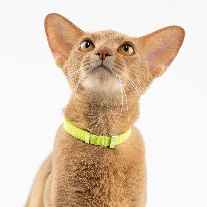 Safety Cat Collar - U.S. IDA Gold Award Design, Stretchy Elastic Quick Release Non Breakaway Cat Collar Light Weight for Kitten All Small Medium Large Cats (Olive, M (7.8-15.7 inch))-Mewly Pet