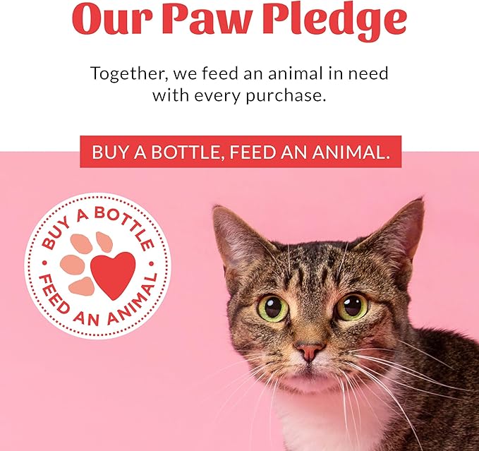 Skout's Honor Probiotic Cat Shampoo & Conditioner with Avocado Oil & Omega-3s, 97% Natural, Paraben & Sulfate-Free, Cruelty-Free, Defend Against Itch, Dryness, Irritation. 16oz, Honeysuckle-Mewly Pet