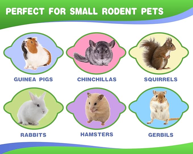 Abizoo Bunny Chew Toys for Rabbits,18PCS Natural Apple Wood Sticks with Petals Good for Chinchillas Guinea Pig Hamster Teeth Care, Bunny Small Pet Treats Teething Toys| Natural Organic Safe-Mewly Pet