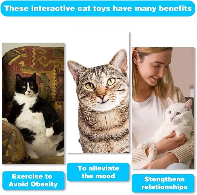 Retractable Cat Toy Wand, 12 Packs Interactive Cat Feather Toys, 9 Assorted Teaser Refills with Bell for Kitten (Pink)-Mewly Pet