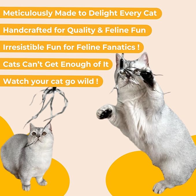 Cat Wand 38" - Retractable Cat String Toy with Spider Teaser and Refill, Perfect Interactive Toy for Indoor Cats and Kittens-Mewly Pet