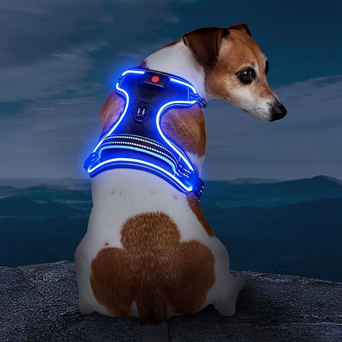 Rechargeable LED Dog Harness - No Pull, 4 Point Adjustable, Lighted Vest for Small/Medium/Large/X-Large Dogs-Mewly Pet