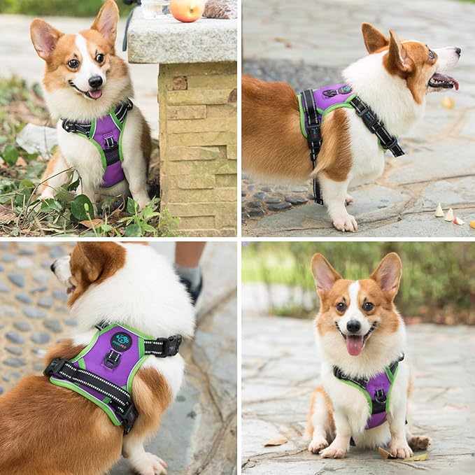 PHOEPET 2019 Reflective Dog Harness Large Breed Adjustable No Pull Vest with with Handle 2 Metal Rings 3 Buckles [Easy to Put on & Take Off](XL, Purple)-Mewly Pet
