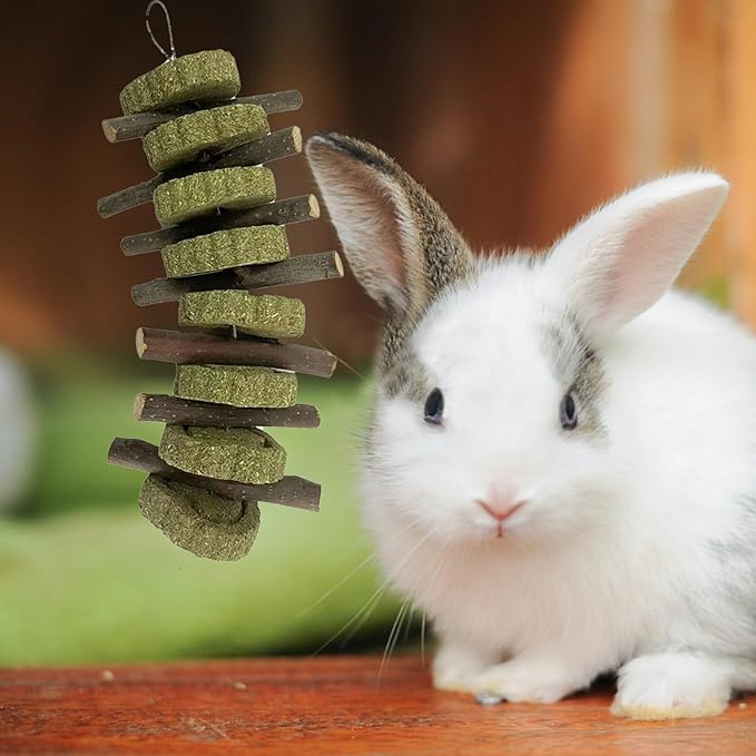 kathson Rabbit Chew Toys,Bunny Grind Teeth 100% Natural Organic Apple Wood Stick Improve Rodent Health Rabbits Hamsters Squirrel Guinea Pig(4 Pieces)-Mewly Pet
