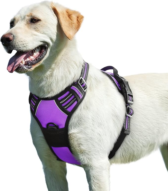 Eagloo Dog Harness for Large Dogs, No Pull Service Vest with Reflective Strips and Control Handle, Adjustable and Comfortable for Easy Walking, No Choke Pet Harness with 2 Metal Rings, Purple, L-Mewly Pet