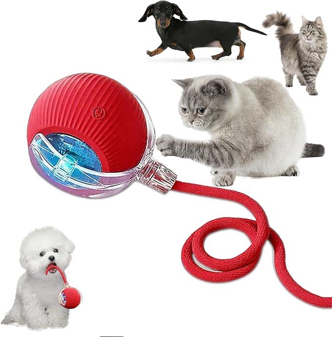 Cat Ball Toy,New Interactive Rolling Cats Dog Toy Balls 360° Smart Automatic Rolling Pet Ball, Fast Moving Toy for Dog,Interactive Toys for Cats (Red)-Mewly Pet
