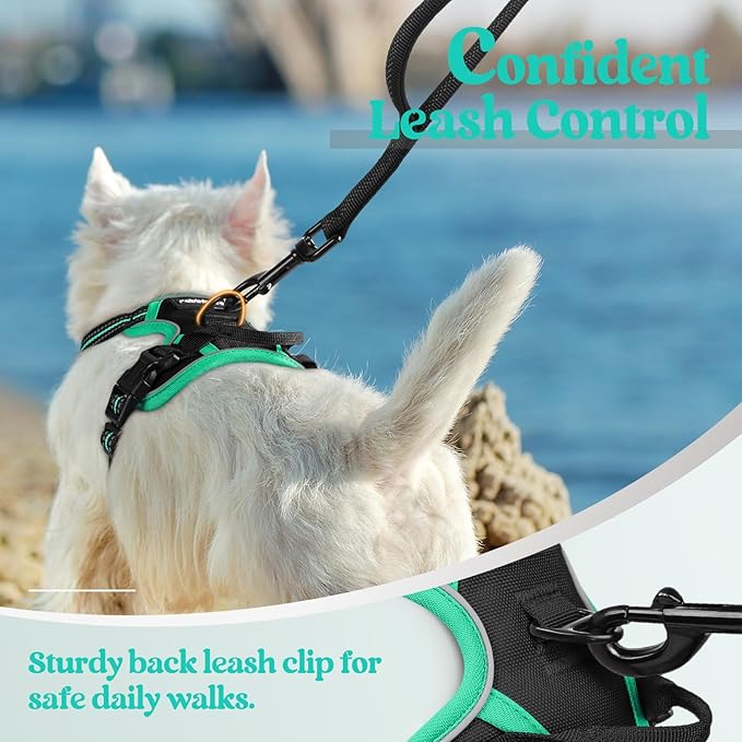 rabbitgoo Dog Harness No Pull with 2 Leash Clips, Adjustable Soft Padded, Reflective Oxford No Choke Pet Vest with Easy Control Handle for Puppy, Black & Turquoise, XS-Mewly Pet