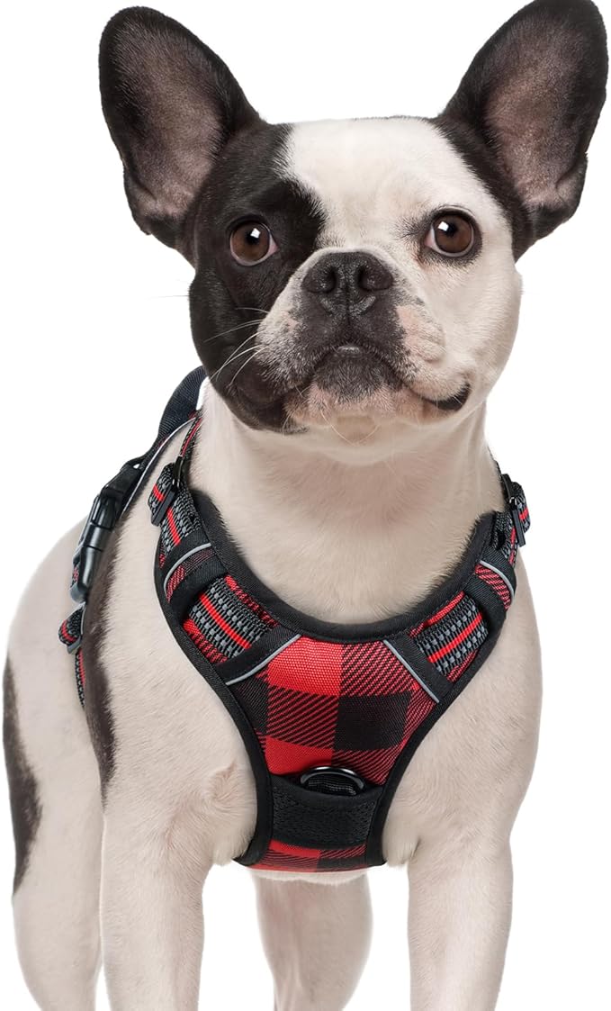 rabbitgoo Dog Harness No Pull with 2 Leash Clips, Adjustable Soft Padded, Reflective Oxford No Choke Pet Vest with Easy Control Handle for Small Dogs, Red Plaid, S-Mewly Pet