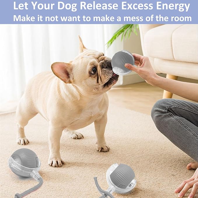 Chewie Viral Rolling Ball, Interactive Cat Toys Ball for Indoor, Cats Interactive Self Rolling Ball Dog Ball Automatic Cat Toy 360° Smart Automatic Rolling Pet Ball (Grey)-Mewly Pet