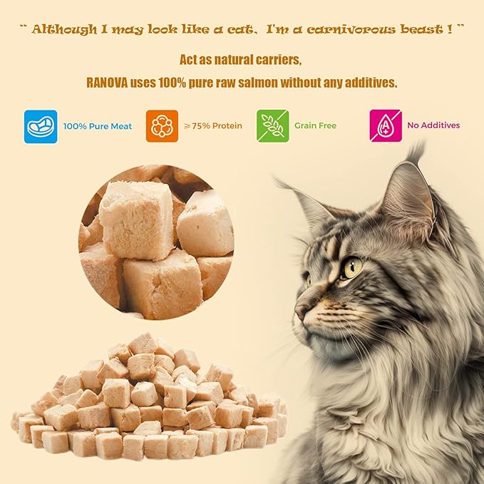 Freeze Dried Cat Treats - 100% Salmon Grain Free Raw - Natural Balance Limited Ingredient High Protein Cat Snacks 115g/4.1oz - Picky Eater Challenger-Mewly Pet