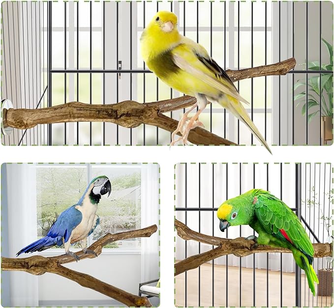 kathson Natural Parrot Perch Bird Stand Pole Wild Grape Stick Paw Grinding Fork Parakeet Climbing Standing Branches Toy Chewable Cage Accessories for Small Budgies Cockatiels Lovebirds 2PCS-Mewly Pet