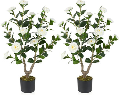 GOFLAME 3FT Artificial Camellia Tree, 2 Pack Faux Camellia Plant with White Flowers, Solid Wood Trunk, Realistic Moss, Greenery Potted Decoration Tree for Indoor Outdoor Home Porch Front Door