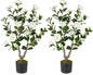 GOFLAME 3FT Artificial Camellia Tree, 2 Pack Faux Camellia Plant with White Flowers, Solid Wood Trunk, Realistic Moss, Greenery Potted Decoration Tree for Indoor Outdoor Home Porch Front Door