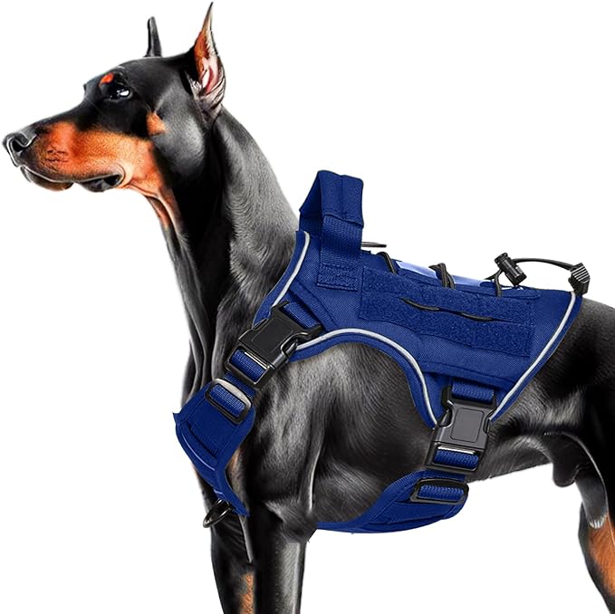 Heavy-Duty Tactical Dog Harness for Large Dogs, No Pull Adjustable Reflective Pet Vest with Molle System, K9 Military-Grade Control for Service Training, Outdoor & 10+ Breeds, Dazzling Blue, Medium-Mewly Pet