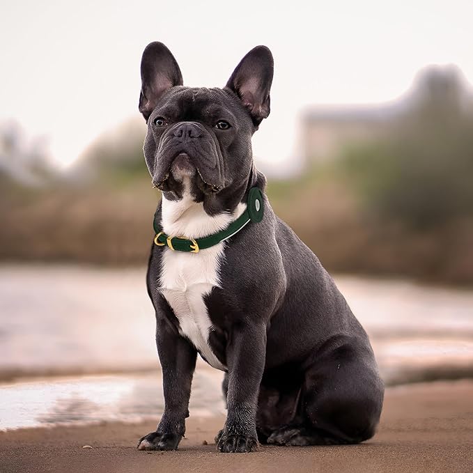 OOPSDOGGY Rolled Leather Dog Collar with Airtag Holder - Reflective Round Airtag Dog Collar - Soft Tracking Pet Collar for Small Dogs Puppy Cats Kitten (Green, M, 12"-15")-Mewly Pet