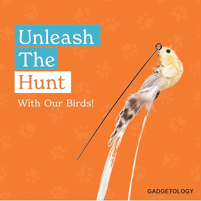 Interactive Bird Simulation Cat Toy Set for Bored Indoor Adult Cats Feather Toy Wand 5 Pcs Natural Bird Feathers Stable Round Base Wand Cat Toys for Indoor Cats Hunting Toys-Mewly Pet