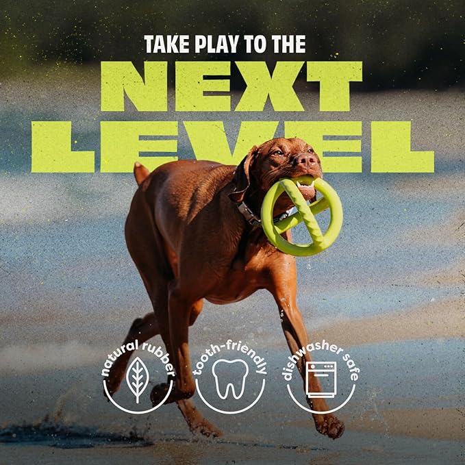 Benebone Natural Rubber Tug Interactive Dog Toy, Natural Rubber-Mewly Pet