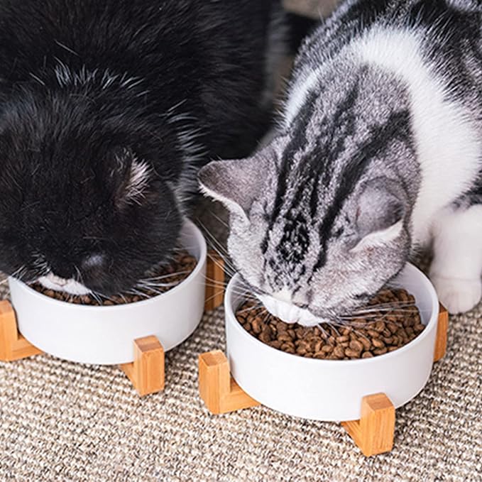 Petygooing Ceramic Dog Cat Bowl Set with Stand, Pet Dog Food and Water Dish,Medium Pet Bowls Anti Slip Set of 2 Cat Bowls-White Pet Food Bowl- Small Medium Size Pet (28 OZ /3.6 Cups)-Mewly Pet