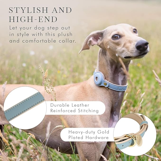 Cupertino Dog Collars, Harnesses & Leashes Made from Vegan Leather with Dog Tracker Device Holder Adjustable Dog Collar - Color Blue, Large-Mewly Pet